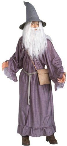 Rubies Fancy Dress   Gandalf™ Grey (Lord of The Rings) === Standard 