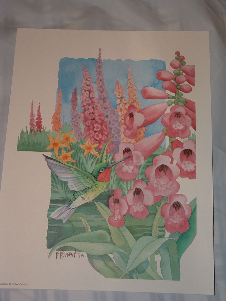 Vtg Paul Brent Hummingbird Print