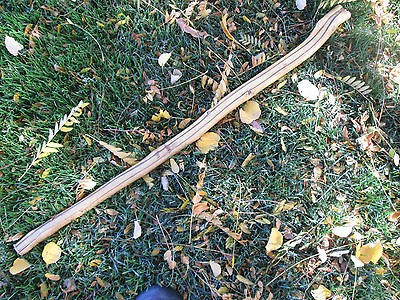 Twisted Wood Hiking Stick   Trekking Stick   Walking Stick   Japanese 