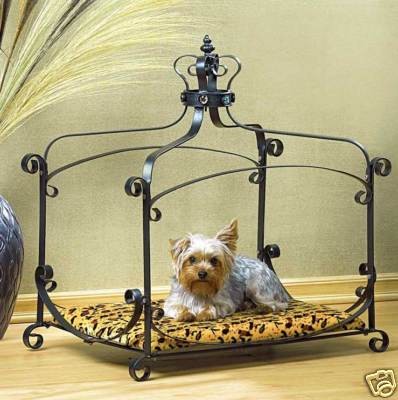 luxury dog beds in Beds