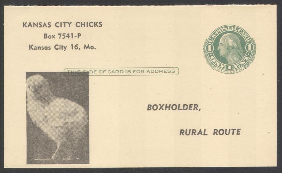 Kansas City MO Chicks for Sale Chickens ​Postcard