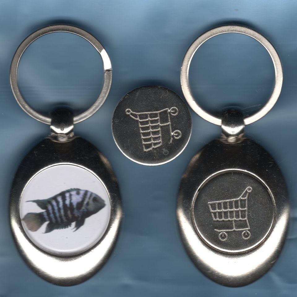 TROLLEY COIN KEYRING CONVICT CICHLID CICHLIDS TROPICAL FISH MDK448