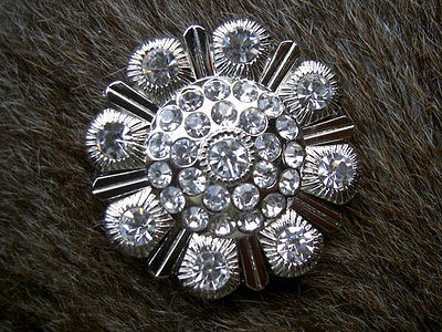 SILVER CRYSTALS RHINESTONES BLING CONCHOS HEADSTALL SADDLE TACK 