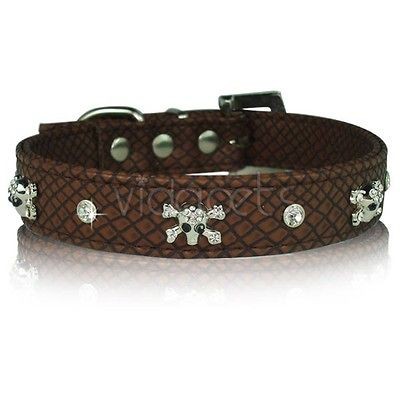 skull dog collar in Collars & Tags