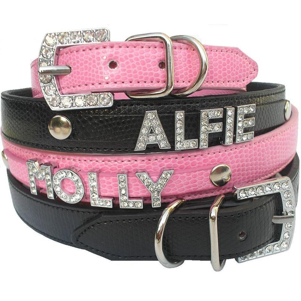 dog collar bling large