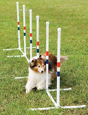 PETSAFE PDT00 11032, AGILITY DOG TRAINING WEAVE POLES