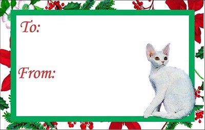 12 Devon Rex Kitten or Cat Christmas Gift Tags