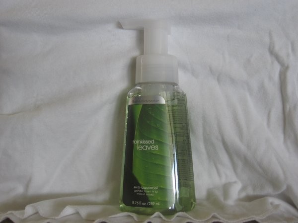 BATH & BODY WORKS RAINKISSED LEAVES FOAMING HAND SOAP 8.75oz NEW