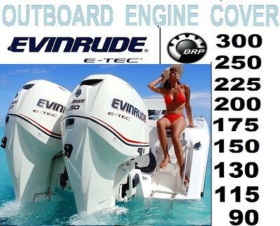 evinrude e tec 200 in 100 200 hp