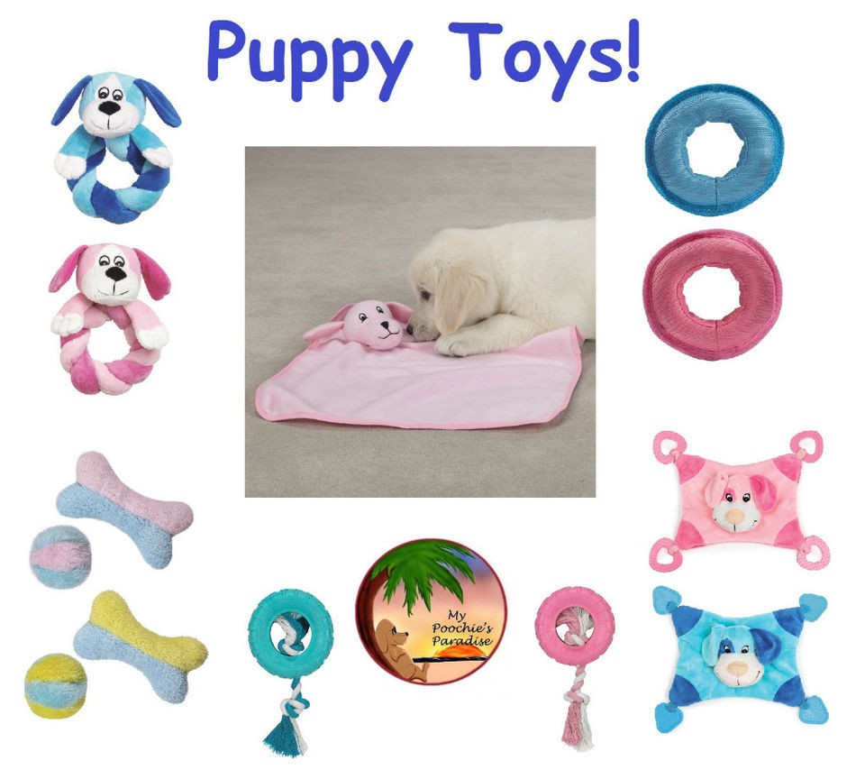 PUPPY TOYS   Teething & Training Toys for Dog & Puppy