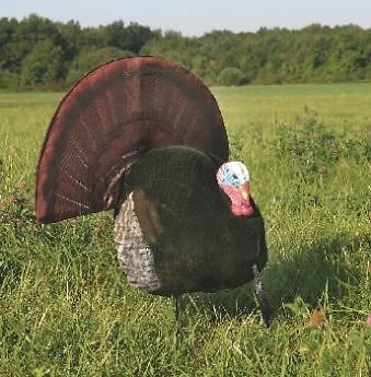 Sporting Goods  Outdoor Sports  Hunting  Decoys  Turkey