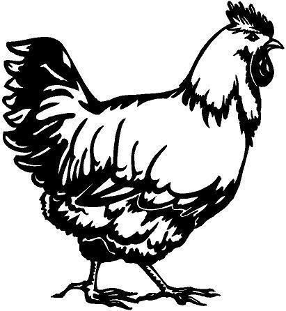 Chicken Vinyl Decal Car Cycle Truck Window Sticker