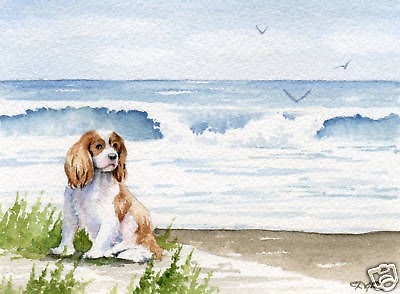 cavalier king charles paintings in Direct from the Artist