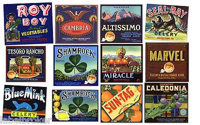 12 CITRUS CRATE LABELS VINTAGE LOT ORANGE COUNTY CALIFORNIA ORIGINAL 