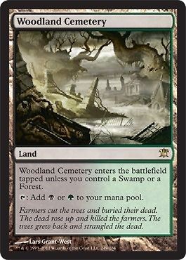 MTG Magic 1x Light Play, English Woodland Cemetery   Foil Innistrad 