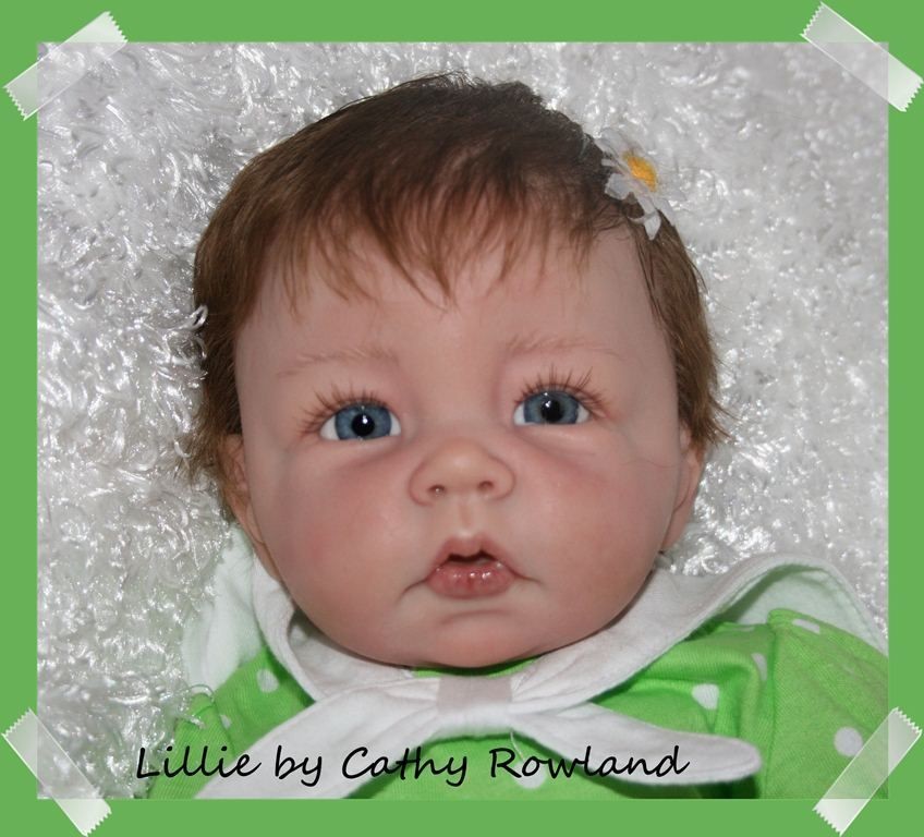 CUSTOM ELLY KNOOPS LUCA REBORN BABY ~ PRECIOUS DOLL KIT YOU CHOOSE THE 