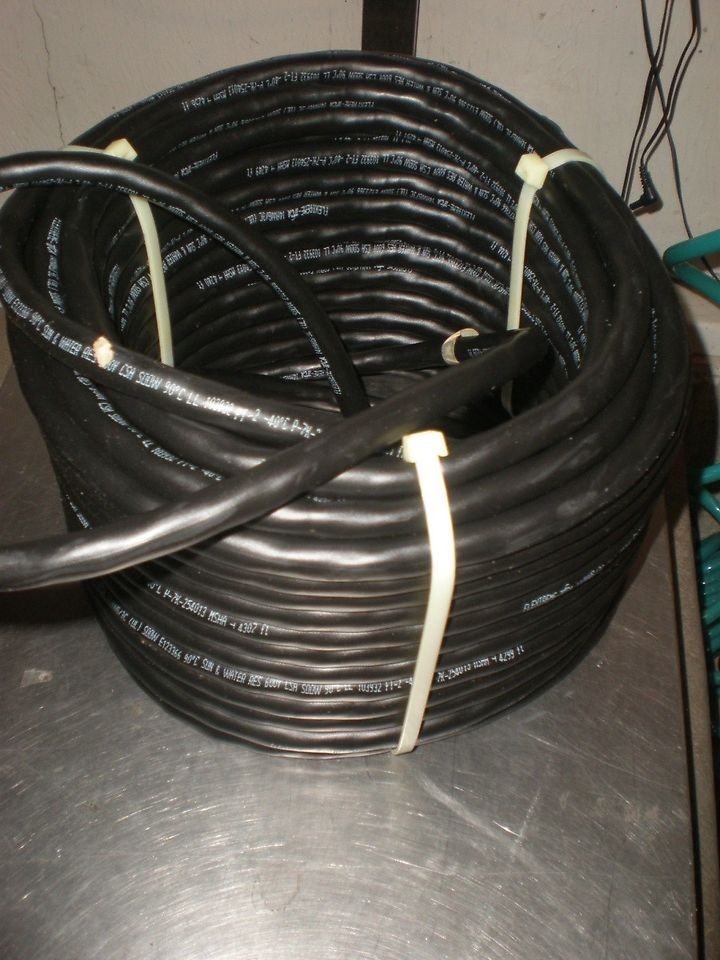 100 Paige Myers Pentair 2 Wire Molded Submersible Well Pump Cable 