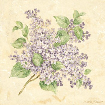 LILAC FLORAL PRINT by PAMELA GLADDING  NEW  12X12