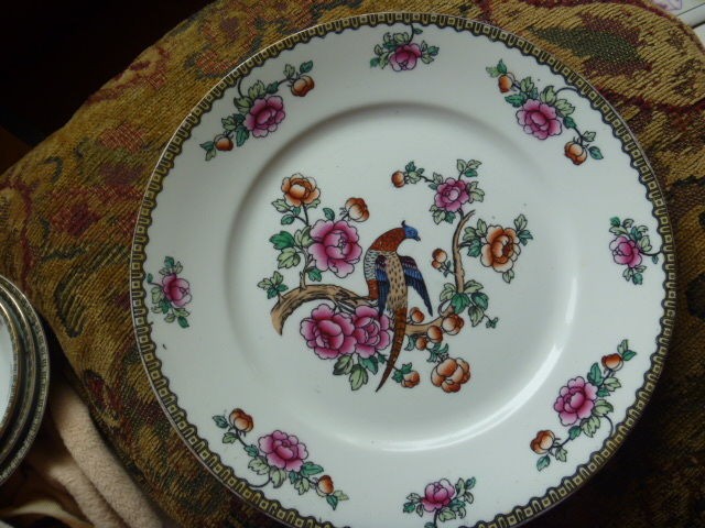 Winkle Whieldon Pheasant 9.75 plate; gold on rim worn, utensil 