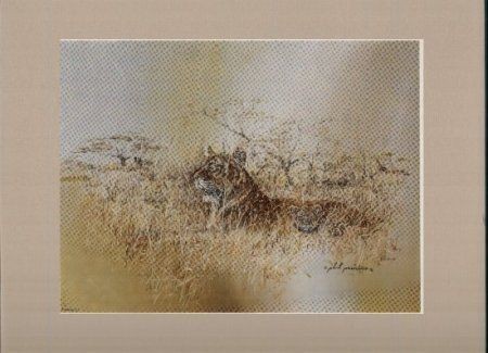 Lion In Grass Phil Prentice Rare Vintage PRINT W/Mat Ready to Frame 