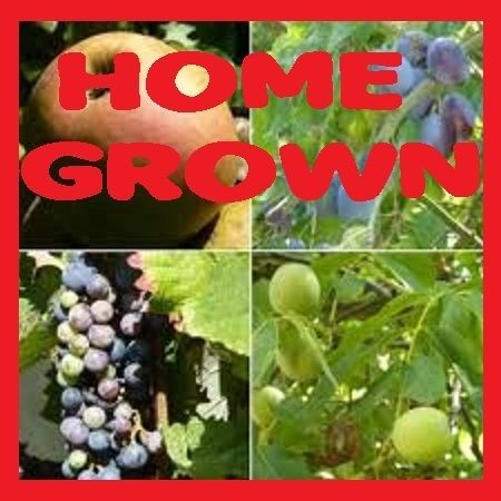 GROWING APPLE TREES AT HOME SMALLHOLDING collection JOB LOT DVD ROM