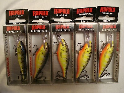 lot of 5 rapala sr 7 shad rap fishing lures