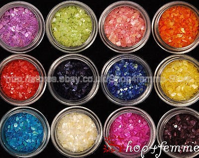 12 pots of crushed shell nail art decoration material from