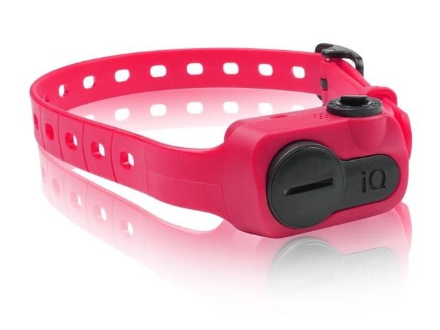 DOGTRA IQ BARK COLLAR PINK NO BARK COLLAR VIBRATION STIMULATION BARK 