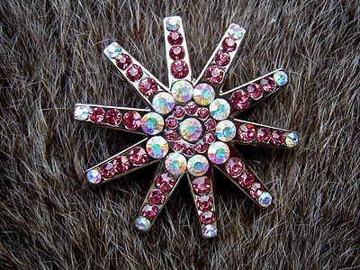   RHINESTONES CRYSTALS SPUR ROWEL CONCHOS HEADSTALL SADDLE TACK CN7