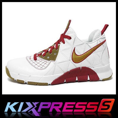 Nike Zoom MVP Trash Talk [360803 171] Steve Nash 2009 NBA ASG PE