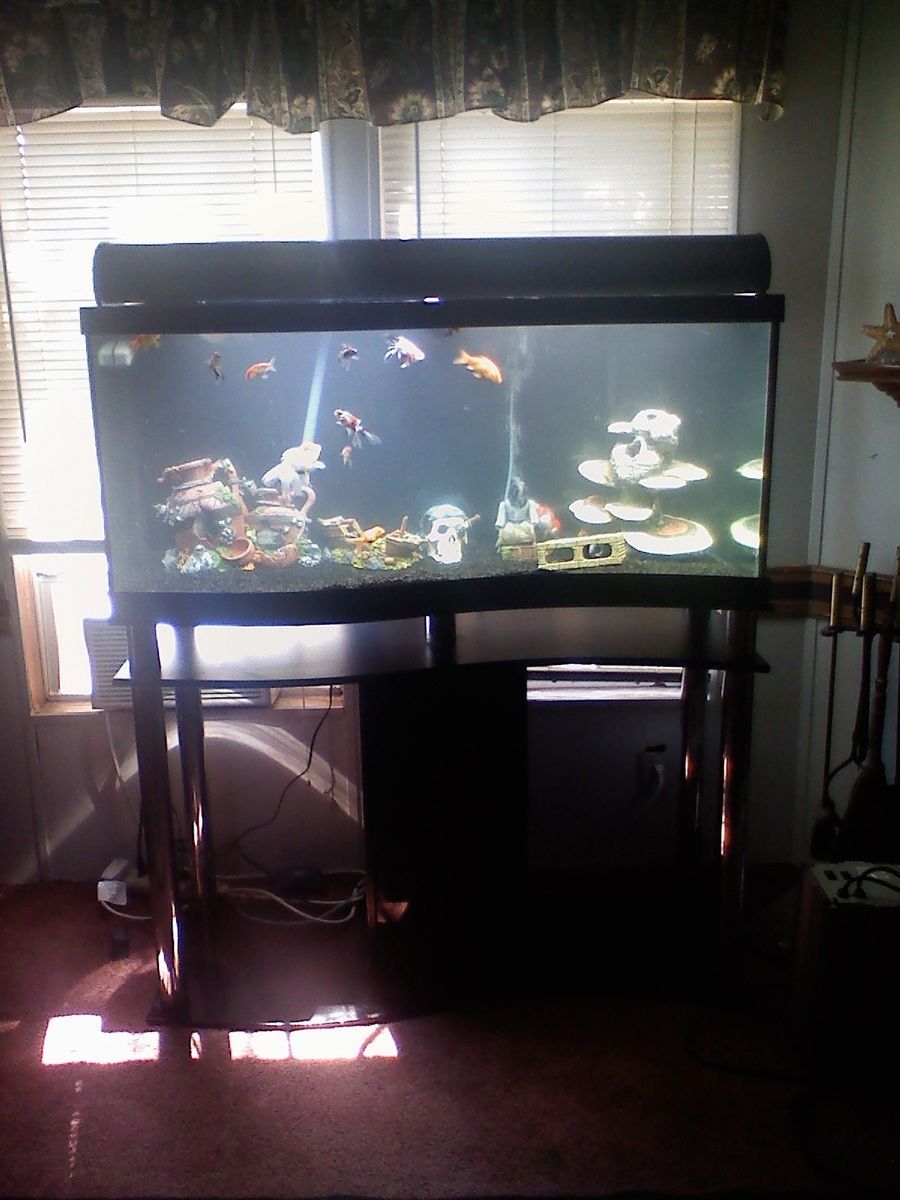 75 Gallon Wave Piano Aquarium Pick Up in Florida Only