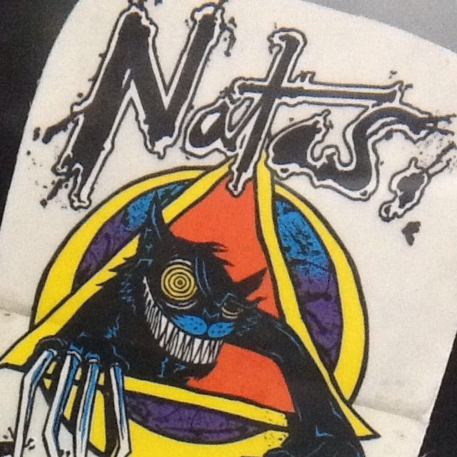 VINTAGE Skateboard Sticker NATAS Kaupas Santa Monica Airlines 80s RARE 