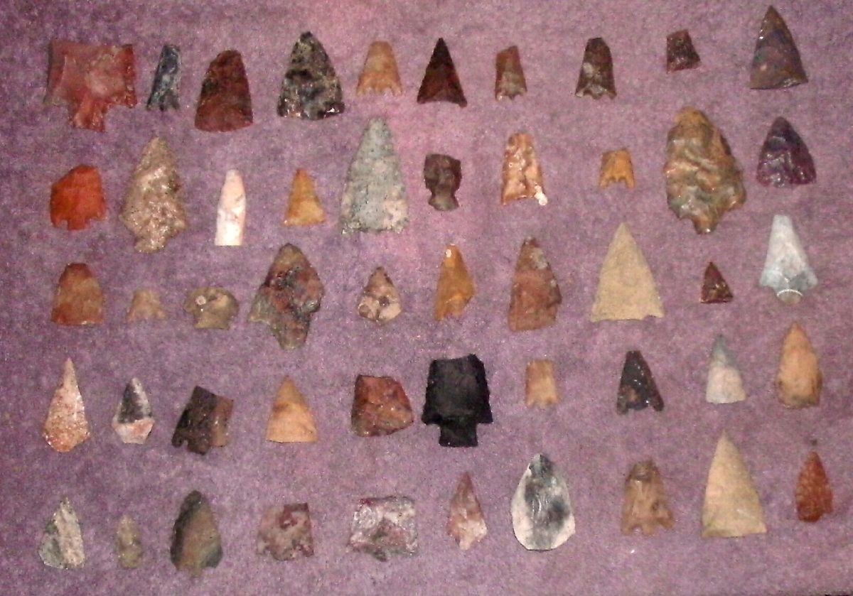   Arrowhead Collection, 50 Authentic Pieces, Florida Lake Apopka area