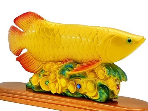 3034_golden_arowana_3