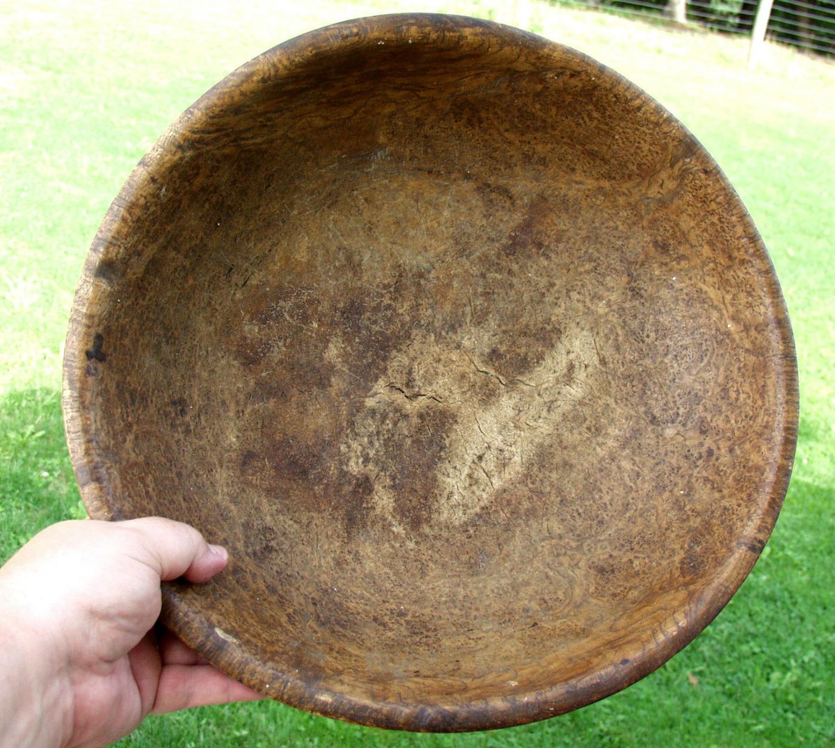 OUTSTANDING AMERICAN ASHWOOD BURL BOWL HUGE UNTOUCHED SURFACE VERY 