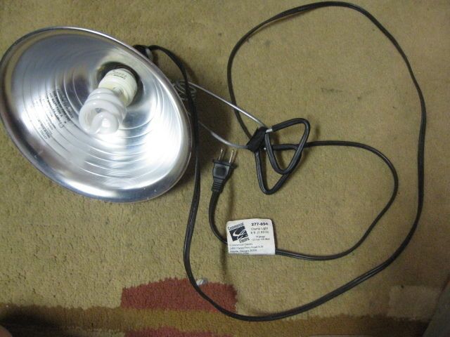 Used Aquarium Fish Clamp Light 6ft 1.83m 18 gauge 125Vac 100 Watt Type 