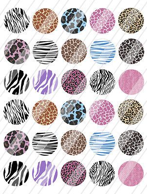 Edible Image Birthday Cake Cakepops Cupcakes Toppers Leopard Zebra 