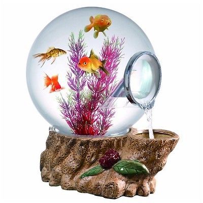 gallon forest tree fish aquarium  129