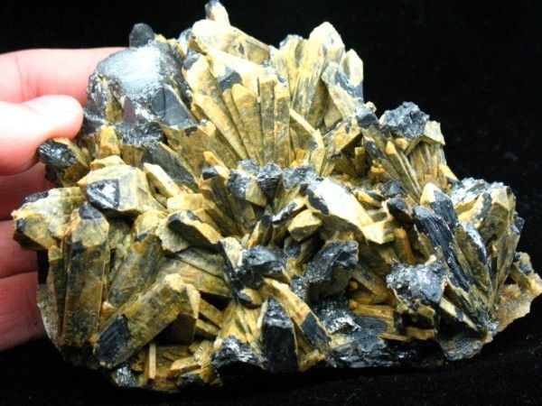 39lb RARE Yellow Antimony w Super Stibnite Specimen