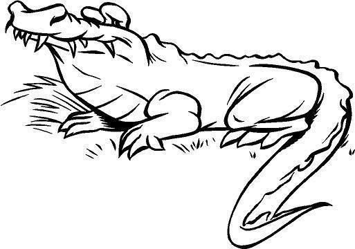 alligator vinyl decal car truck boat window sticker time left