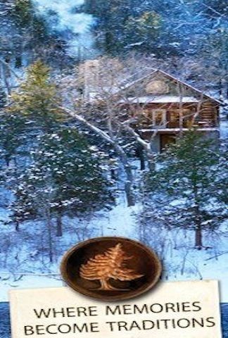 DECEMBER 19 21ST 2 BEDROOM COZY CABIN BIG CEDAR WILDERNESS LODGE 