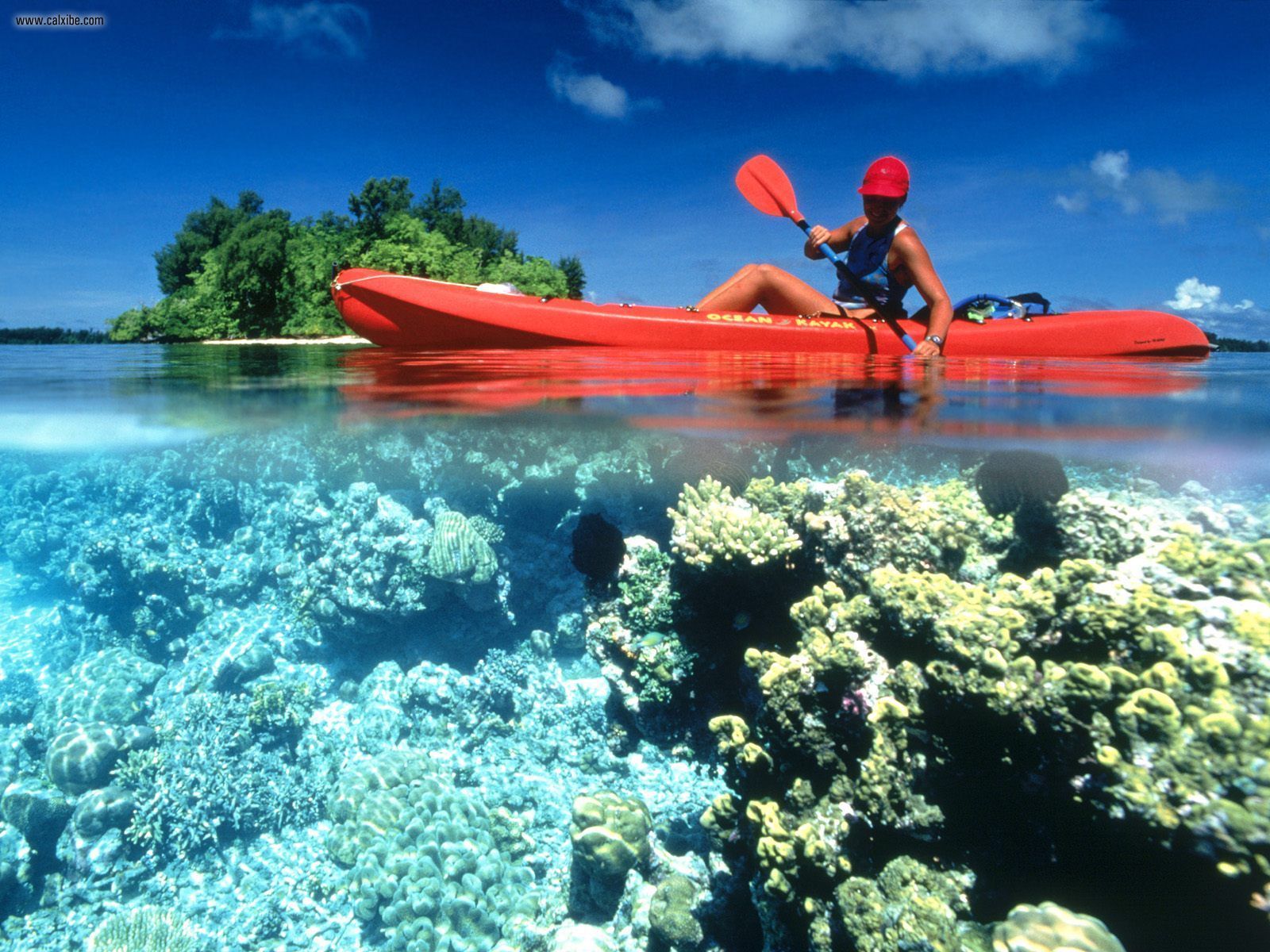 kayaking on the big island 2 185611