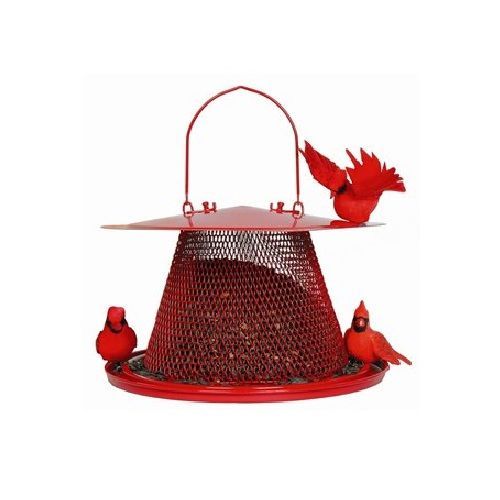 no no bird feeder the cardinal metal squirrel proof no wood and no 