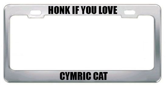 HONK IF YOU LOVE A CYMRIC CAT CATS LICENSE PLATE FRAME TAG