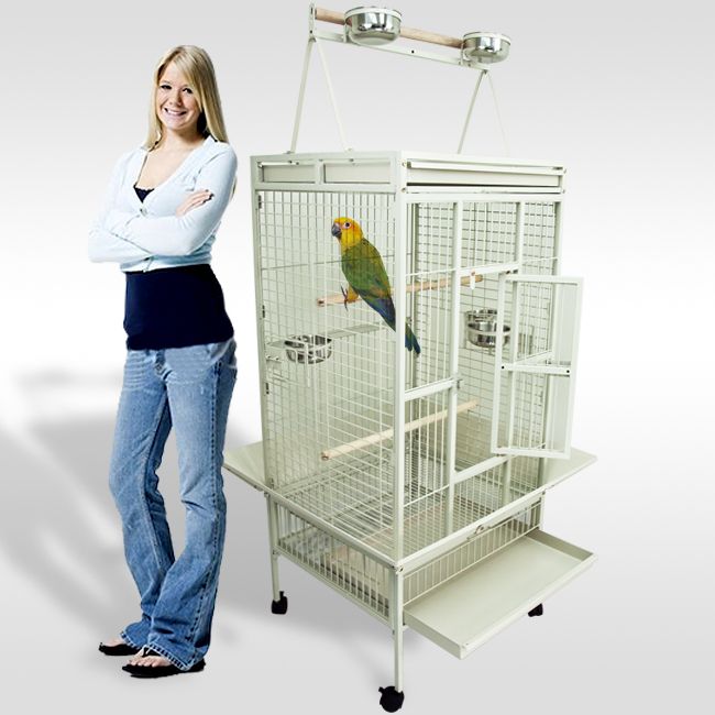 Parrot Cage Bird Cockatiel Parakeet Finch Playtop Gym Perch Stand 