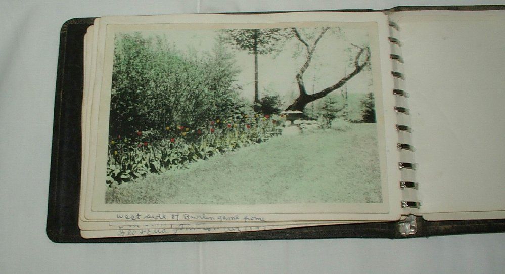 Antique Burlingame Photo Album Cat Dog Hand Tinted NY Allegany Vintage 