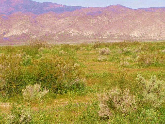 Buildable Lot In California City btwn Los Angeles and Las Vegas