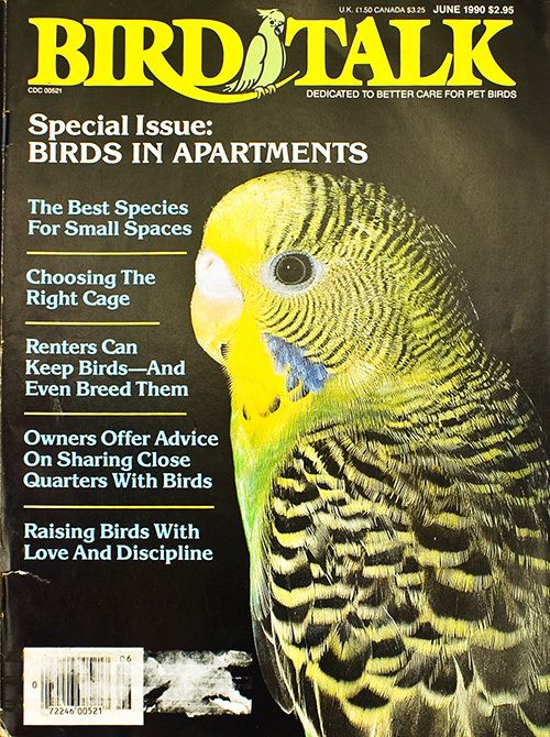   trip to the vet a guide to apartment breeding tenants with feathers