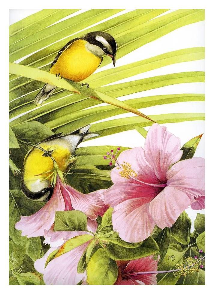 FREEmarjolein bastin Calendar illustrations 2011 April, HD print on 