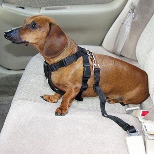 Car Vehicle Nylon Pet Cat Dog Seat Safety Belt Seatbelt